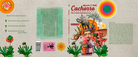 180207 Cachorro tapalomocontratapa 7 (2).jpg